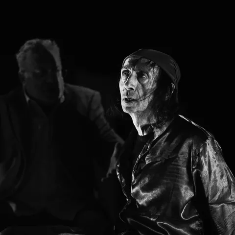 Ρινόκερος — φωτογραφία 4